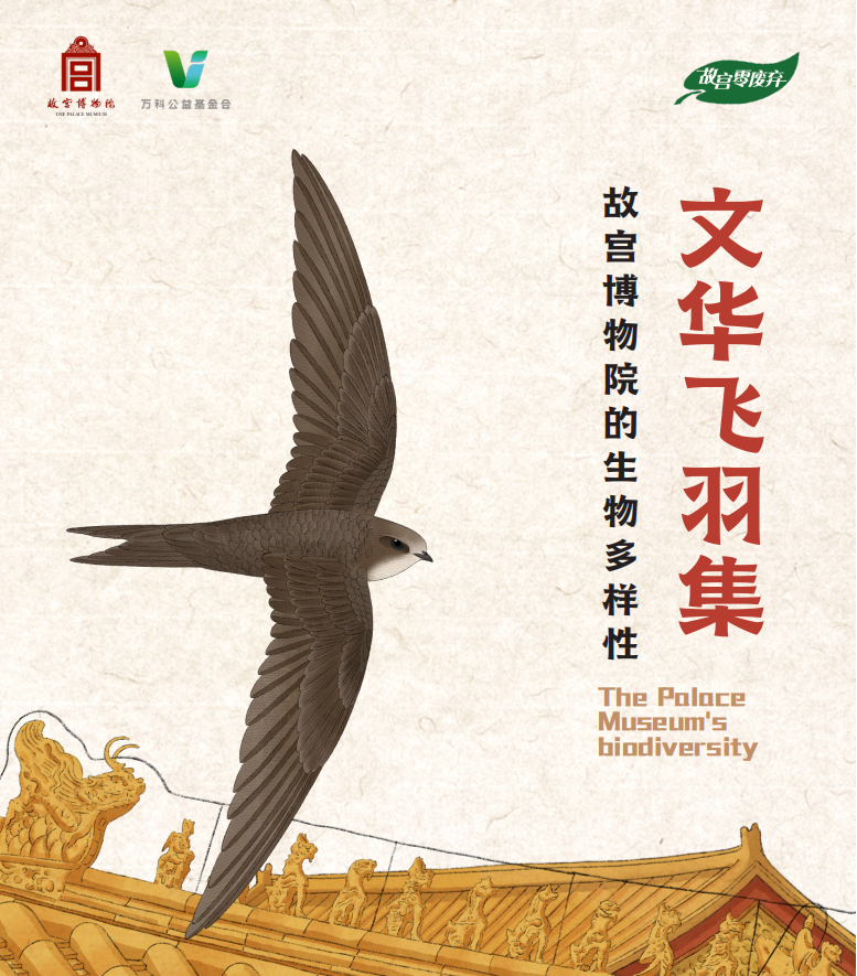 文华飞羽集